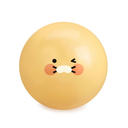 캐릭터 홈 트레이닝 짐 볼 #5