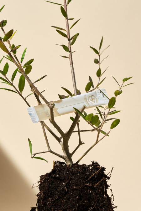 끌레르허니 꿀스틱 선물세트 100% 천연 //국산 #5