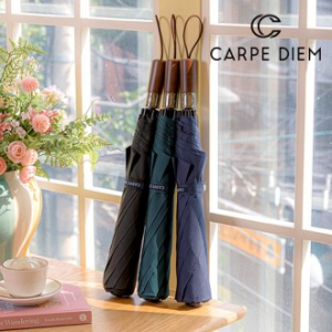 카르페디엠 3HHS023 2단 우산