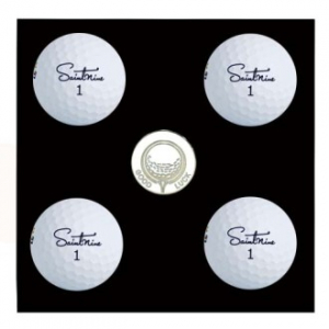 세인트나인 NEW 큐 화이트 4구 볼마커세트