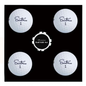 세인트나인 NEW 큐 화이트 4구 볼마커 칩세트