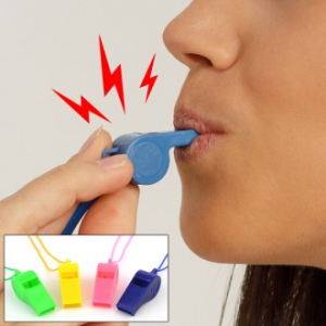 호신용 목에 걸수있는 호루라기 호각 휘슬 플라스틱