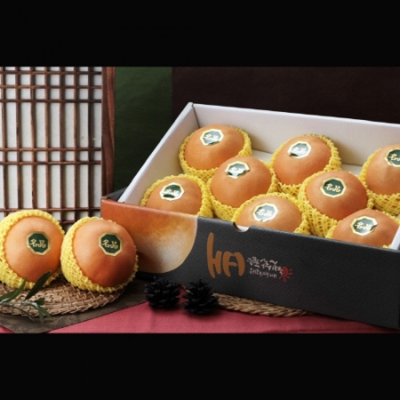 [웰빙나주배] 나주 신고배 선물세트 5kg 7-8과 (무료배송) [면세] [23년 추석]