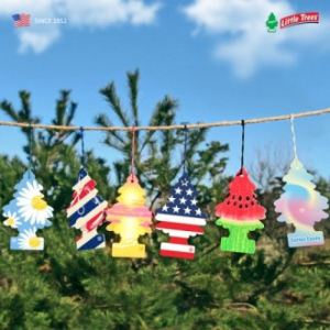 미국1위 방향제 리틀트리 1p