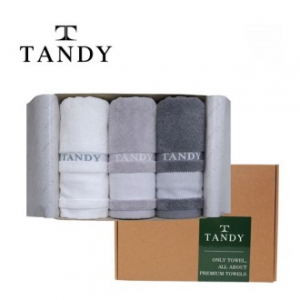 탠디 프리미엄 1.8 전사타올 3매세트