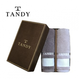 탠디 프리미엄 1.8 전사타올 2매세트