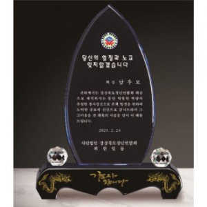 금문양 크리스탈 상패 40
