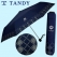 탠디 크라운 방풍 3단우산 수동 네이비