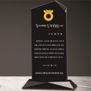 크리스탈 상패 224