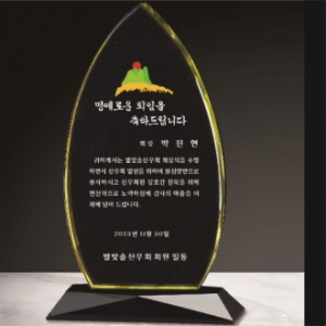 크리스탈 상패 261