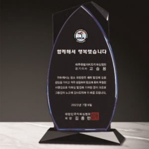 크리스탈 상패 298