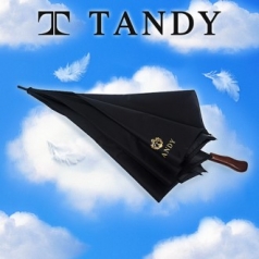 탠디 초경량 카본 대형 75  장우산