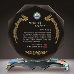 크리스탈 상패 315