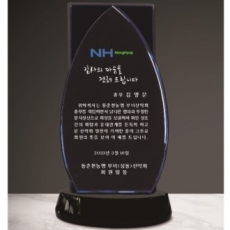 크리스탈 상패 301