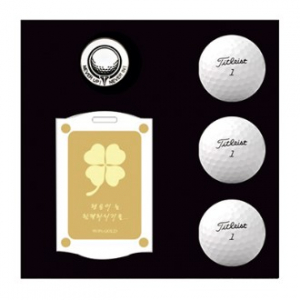 타이틀리스트 PRO V1 3구 볼마커 순금 네임텍 싸바리케이스 세트