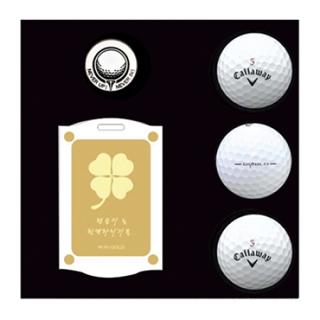 캘러웨이 뉴디아블로 3구 볼마커 순금 네임텍 싸바리 #2