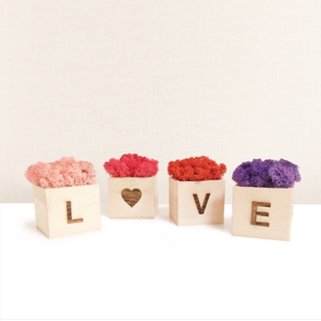 내츄럴 우드 스칸디아모스 원목 화분 #2