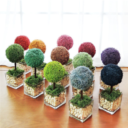 큐브 스칸디아모스 편백 모스 나무 #2