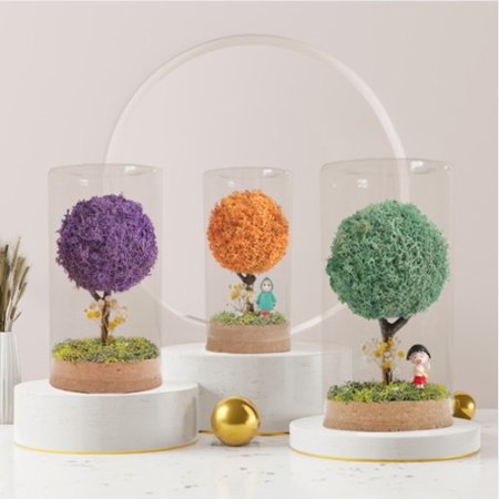 클리어 스칸디아모스 유리돔 모스 화분 #2