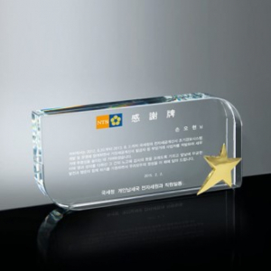 위촉패 감사패 재직 기념패 공로패 p 245