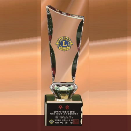 크리스탈 트로피 236 (중) #3