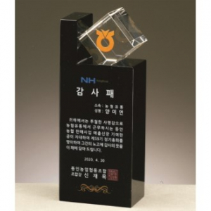 크리스탈 상패 389