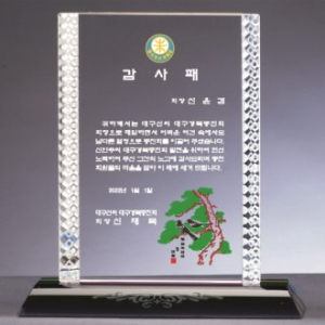 크리스탈 상패 391