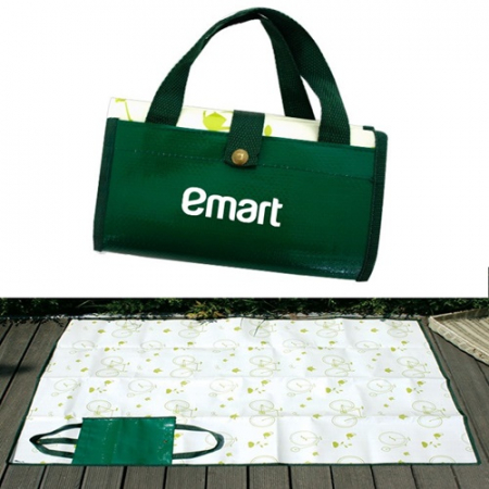 가방형 1인용 피크닉 돗자리, 관공서 기업 학교 단체 #3