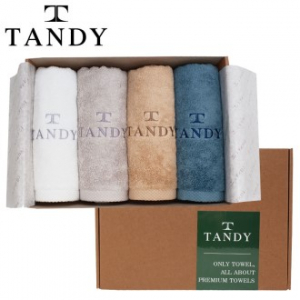 탠디 코마사 40수 럭셔리 타올 4매 세트, 40x80cm