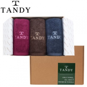 탠디 소프트 타올 3매세트, 40x80cm