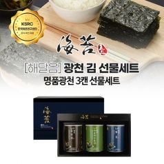해달음 명품 광천김 3캔