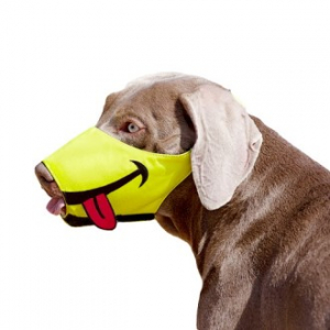 NC 베이직 강아지 입마개 특대 CEH674