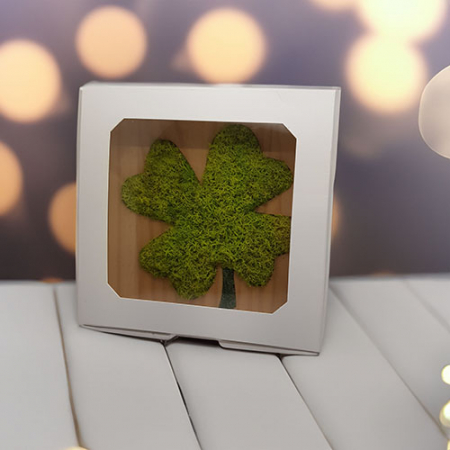 스칸디아모스 이끼 액자 맞춤제작형 1호 #6