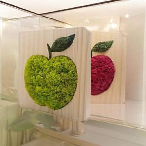 스칸디아모스 이끼 액자 맞춤제작형 1호