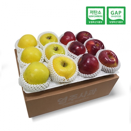 저탄소 GAP인증 엔부사과 6과 +시나노골드 6과 실속 3kg #2