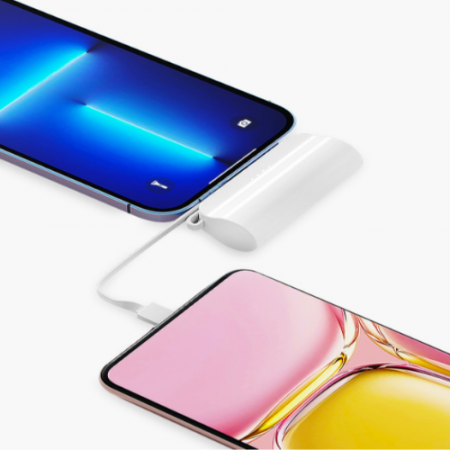 세인트비 초경량 듀얼 보조 배터리 C타입, 8핀