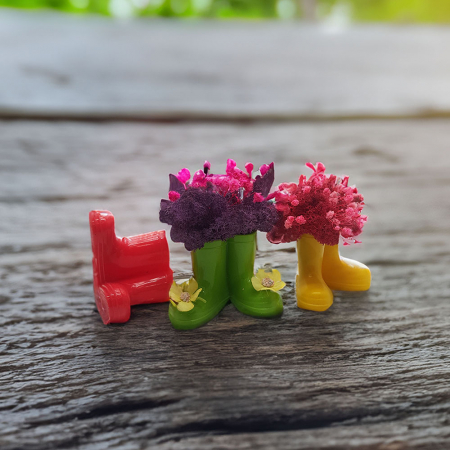 스칸디아모스 앙증맞은 이끼장화 소형 인테리어 #5