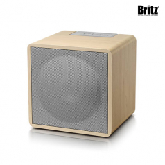 브리츠 BZ-NT22 큐브형 블루투스 스피커