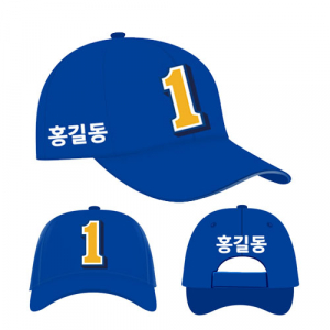 민주당 선거 모자