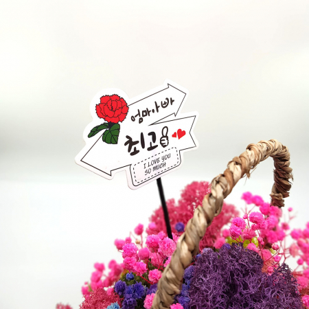 스칸디아모스 이끼바구니 1호 인테리어소품 #6