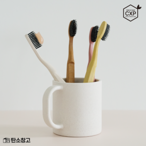J01 제로웨이스트 목재 칫솔 1P