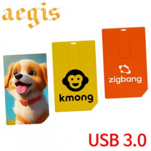 이지스 카드형 USB 3.0 메모리 64GB