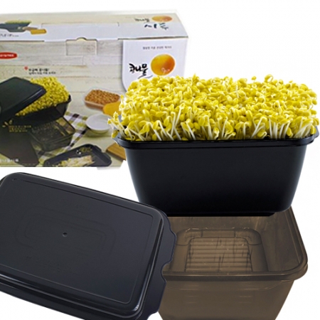 이지앤프리 초간단 콩나물시루 선물세트 #2