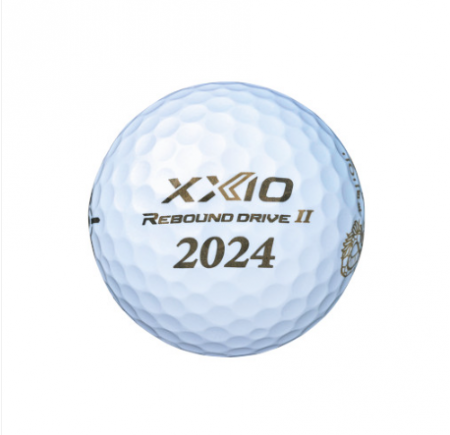 젝시오 간지볼 12구 골프공 #4