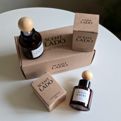 센트라도 미니 차량용 디퓨저 50ml 2P 세트