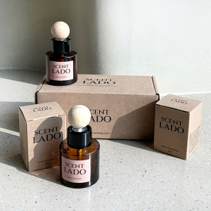 센트라도 미니 차량용 디퓨저 50ml 2P 세트