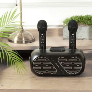 슈틸루스터 ST-DM100 무선 듀얼 노래방 마이크