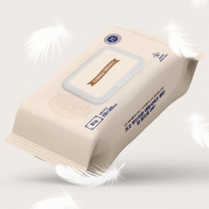 더 넓어진 Big프리미엄 자연생분해 대형물티슈 (캡형)