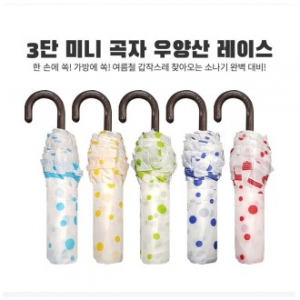 프리미엄 3단 미니곡자 우양산 레이스우산 모음전