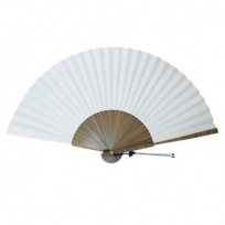 오죽선 백선 특대